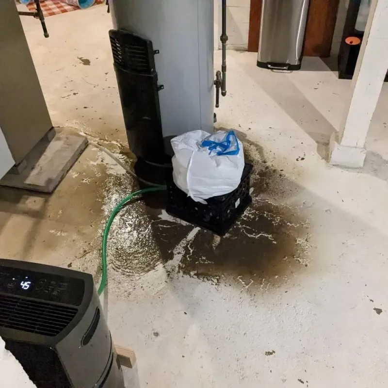 Sewage Backup Cleanup Service in Clinton, UT